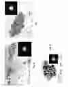 Fig. 05 - Nanoparticles and methods of manufacturing nanoparticles for electronic and non-electronic applications