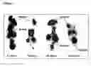 Fig. 05 - Peptide-chelate conjugates