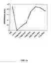 Fig. 02 - Nanoparticles for therapeutic and diagnostic applications