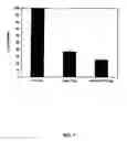 Fig. 07 - Nanoparticles for therapeutic and diagnostic applications