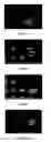 Fig. 04 - Methods and compositions for preventing and treating radiation-induced skin reactions