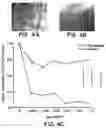 Fig. 05 - Compositions and methods for delivery of genetic material