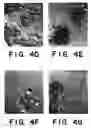 Fig. 06 - Compositions and methods for delivery of genetic material
