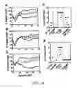 Fig. 16 - Prevention, decrease, and/or treatment of immunoreactivity by depleting and/or inactivating antigen presenting cells in the host