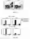 Fig. 17 - Prevention, decrease, and/or treatment of immunoreactivity by depleting and/or inactivating antigen presenting cells in the host