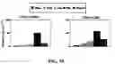 Fig. 18 - Prevention, decrease, and/or treatment of immunoreactivity by depleting and/or inactivating antigen presenting cells in the host