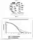 Fig. 02 - Amnion-derived cell compositions, methods of making and uses thereof