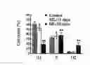 Fig. 01 - Compositions, methods and kits relating to reprogramming adult differentiated cells and production of embryonic stem cell-like cells