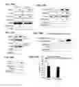 Fig. 22 - Compositions, methods and kits relating to reprogramming adult differentiated cells and production of embryonic stem cell-like cells