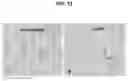 Fig. 13 - Methods for stimulating or enhancing proliferation of non-tumorous cells expressing MUC1 receptors