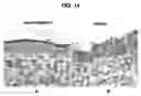 Fig. 15 - Methods for stimulating or enhancing proliferation of non-tumorous cells expressing MUC1 receptors