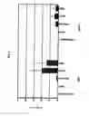 Fig. 06 - KIM-1 antagonists and use to modulate immune system