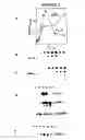 Fig. 02 - Broad spectrum pyrogenic antagonists and vaccines directed against pyrogenic exotoxins