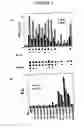Fig. 05 - Broad spectrum pyrogenic antagonists and vaccines directed against pyrogenic exotoxins