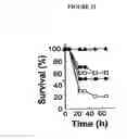 Fig. 22 - Broad spectrum pyrogenic antagonists and vaccines directed against pyrogenic exotoxins