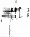 Fig. 15 - Molecular antigen array