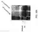 Fig. 19 - Molecular antigen array