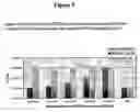 Fig. 06 - Methods and compounds for raising antibodies and for screening antibody repertoires