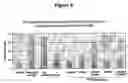 Fig. 10 - Methods and compounds for raising antibodies and for screening antibody repertoires