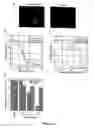 Fig. 04 - Polypeptide transduction and fusogenic peptides