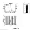 Fig. 06 - Composition to be administered to a living being and method for marking agents