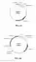 Fig. 26 - Stable immunoprophylactic and therapeutic compositions derived from transgenic plant cells and methods for production