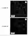 Fig. 06 - Nanocomposite microgel particles and uses thereof