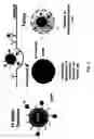 Fig. 03 - Liposome compositions