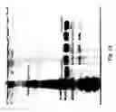 Fig. 30 - Liposome compositions