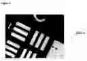 Fig. 07 - Polymerizable liquid crystal composition and optically anisotropic thin film