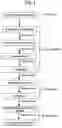 Fig. 02 - Multicolor resin molding component for mobile apparatus