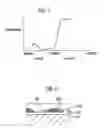 Fig. 02 - Camouflage covering