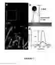 Fig. 03 - Electropen lithography