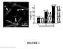 Fig. 04 - Electropen lithography