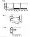Fig. 05 - Potassium niobate deposited body and method for manufacturing the same, piezoelectric thin film resonator, frequency filter, oscillator, electronic circuit, and electronic apparatus
