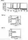 Fig. 06 - Potassium niobate deposited body and method for manufacturing the same, piezoelectric thin film resonator, frequency filter, oscillator, electronic circuit, and electronic apparatus