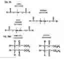 Fig. 14 - Potassium niobate deposited body and method for manufacturing the same, piezoelectric thin film resonator, frequency filter, oscillator, electronic circuit, and electronic apparatus