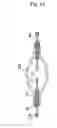 Fig. 15 - Composite bodies