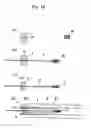 Fig. 19 - Composite bodies
