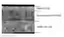 Fig. 01 - Solid oxide fuel cell electrolyte and method