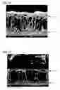 Fig. 11 - Nonaqueous electrolyte secondary battery including a negative electrode containing silicon and an additive which retards oxidation of silicon during battery operation