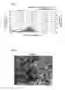 Fig. 02 - Nonaqueous electrolyte battery