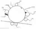 Fig. 01 - Recording material, toner, liquid developer and image forming method using the same
