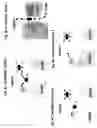 Fig. 06 - Video game with learning metrics