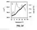 Fig. 31 - Therapeutic platelets and methods