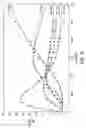 Fig. 07 - Mutant DNA polymerases and methods of use
