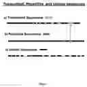 Fig. 02 - Unique sequence hybridization probes (USP)
