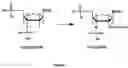 Fig. 03 - METHOD FOR DETECTING NUCLEIC ACID SEQUENCES