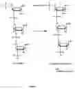 Fig. 09 - METHOD FOR DETECTING NUCLEIC ACID SEQUENCES