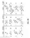 Fig. 06 - Free reactant use in nucleic acid-templated synthesis